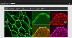 Desktop Screenshot of biotecnologi.it